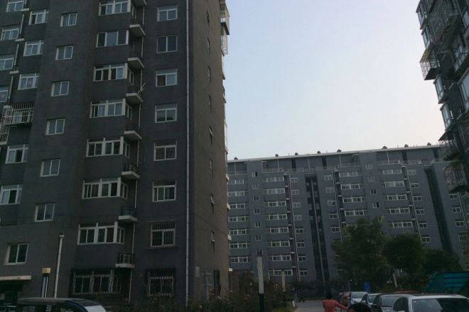京洲世家实景图