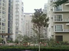 鑫苑中央花园东区 1室0厅 西