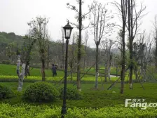 华岩新城 斌鑫中央国际公园D区四房95万