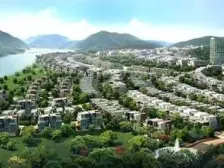 空气清新 负离子空气 优质的森林