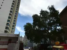 白银路 全朝南采光 视野开阔 有小区 带装修 停车方便