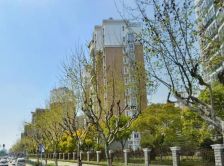 新世纪名苑3室2厅南