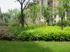 有双车位、自己住的标准200个、拎包入住好位置