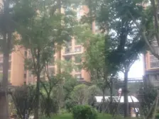 精装一房业主急售,楼层高采光好户型方正。