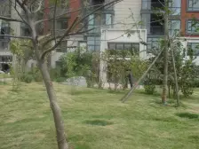 无贷款无抵押随时过户 自住装修 全天采光可以先看房