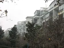 大两室、户型方正,XI缺楼层,南北通透