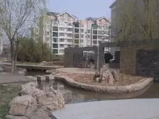 郑东新区 有电梯 一居室 随时看房