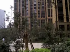 精装修大四房 满五年唯一 采光好视野好