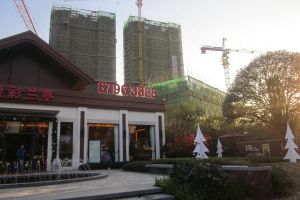 树木岭正地铁口一房精装修首付低40年房子