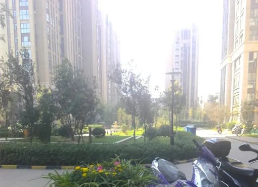  ��Է�ִ���3��1��2��������1700.00Ԫ/�³��� 