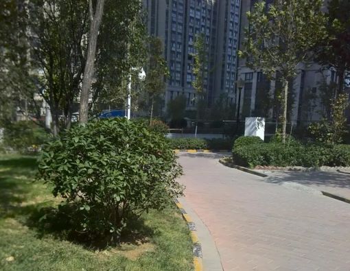  ��Է�ִ��� 2�� 1�� 62ƽ�� 