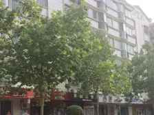 尊贵龙头?喜鹊洋房?如意毛坯距中原科技城步行998