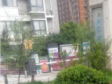 黄河路未来路中州大道5号线姚砦站 双气电梯房 朝南 楼层好