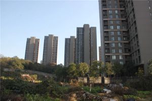 武广新城,万科三期墅区高层,视野无遮挡,安静宜居