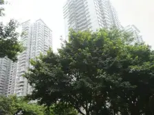 杨家坪 西城镜园二房90万