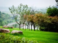 住宅性质正常层高+通透户型三房双卫+化片重庆11仲