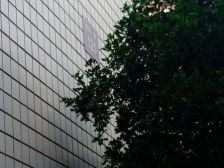 瑞景新村E组团宾鸿苑 2室2厅 258万