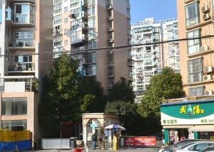万象城、山姆、湘雅、地铁,都在家门口,小高层板.