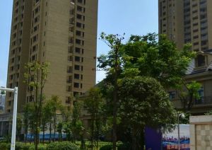 业主诚意出售,全新毛坯,看房方便有钥匙,急急急