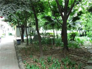 致瑞雅苑A区2室1厅南