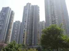 蟠龙商圈 云湖绿岛 三室 户型方正 视野开阔 采光好