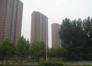 建业枫林上院1室1厅北