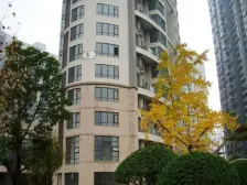 东边户大复式 南北通透格局 客厅挑高 顶豪级装修