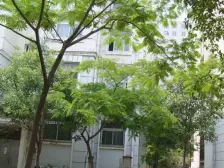 文雅新世界,标准1室1厅,南北通透,全明户型,