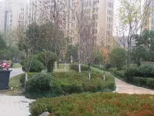 南阳路一楼带院双气客厅朝南大三房