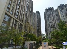 世豪瑞丽1室1厅南
