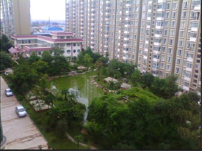 小区相关图