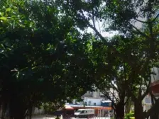 莲坂地铁口 电梯高层采光好 精装两房