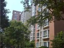 鑫苑中央花园 1室0厅 东 西