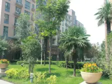 下沉复式,一楼带院,满五唯一,随时看房