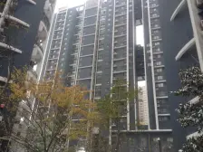 房子视野好,全天采光,精装修,物业负责