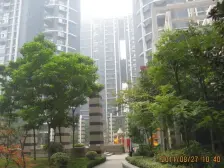 农业路 好位置 欧式挑空复式 人车分流 居住舒适度高