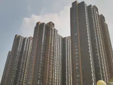 满五唯一,楼层好,视野宽阔,交通便利