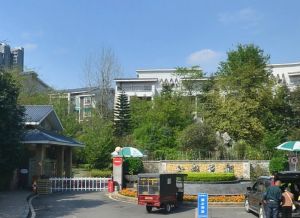 七彩花都A区3室1厅东南