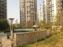 郑东新世界 3室2厅 西南