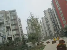 8号线地铁口龙王庙站,实用四房,领包入住,诚心出售