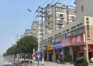 观沙岭地铁口精装入住枫林美景三室两厅