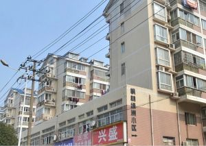 枫林美景3室2厅南北