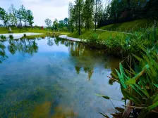 麓湖生态城麒麟荟 5室3厅 南