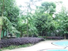四海逸家二期4室3厅西南