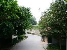 蓝色经典小区 2室1厅 南