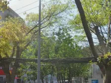 天生丽街精装大三室 小区电梯房 精装带家电