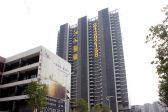 江山国际