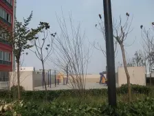 郑东新区 视野开阔 可观看七里河 河景 大4室