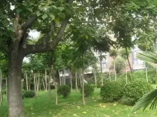 多层二楼,地铁及多路公交车通行,出入方便,交通便利