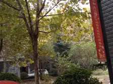 此房 ,过户成本低,房子可塑性强,居住舒适度高